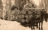 Miscellaneous To 1939: Logging Scene East of Gaylord, Mich.